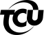 Checklist with green check marks next to three items and a gray circle next to the fourth item.